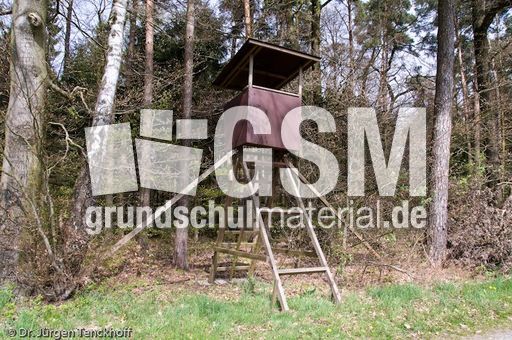 Hochstände (72 von 154).jpg